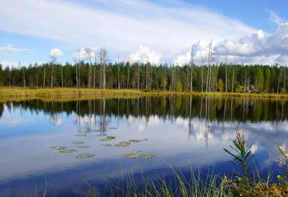 Paysage de la région des lacs