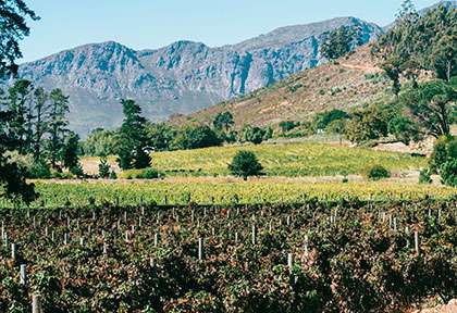 Franschhoek