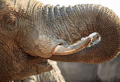 L’accès à l’eau