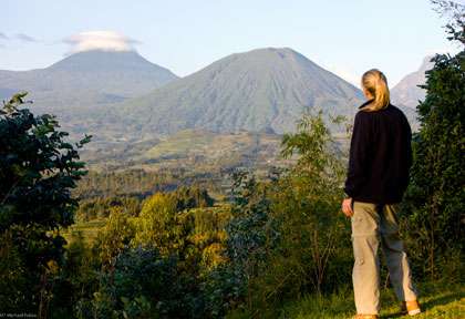 Rwanda - Le Parc national des Volcans