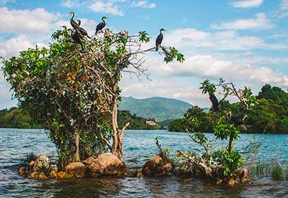 Rwanda - Lake Kivu - Shutterstock Florian Lancon