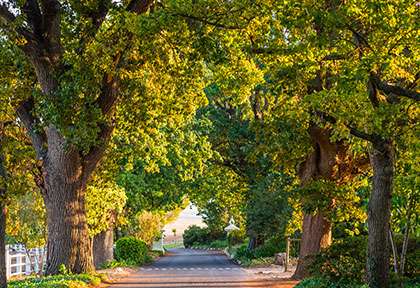 Stellenbosch