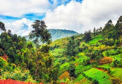 Paysage du Rwanda