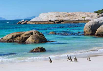 Simon’s Town