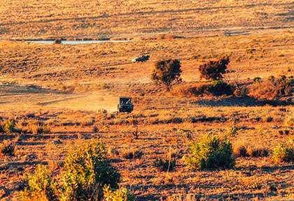 Waterberg, Welgevonden Game reserve
