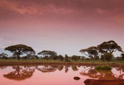 paysage du Kenya