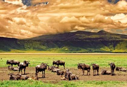 ciel d’orage sur le Ngorongoro
