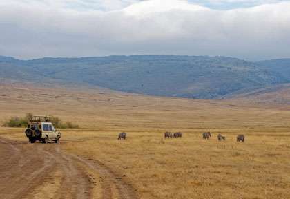 Ngorongoro en saison sèche