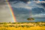 ciel d’orage au Kalahari