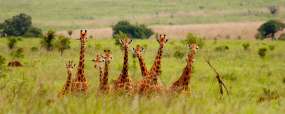 @@right_legende@@