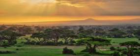 Kenya - Amboseli après la pluie © Shutterstock - Kucherav