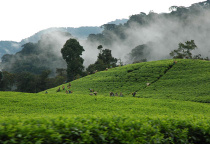 rwanda