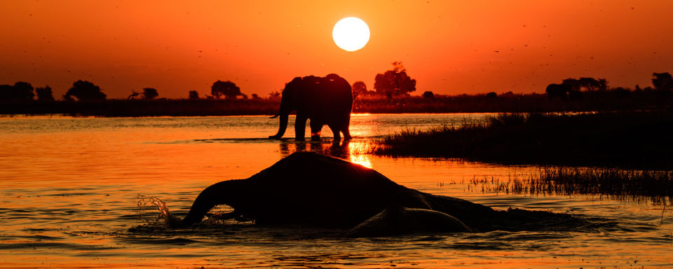 Croisière au coucher du soleil sur la rivière Chobe © Shutterstock - it platt