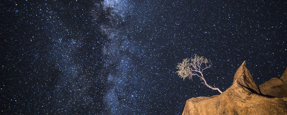 Ciel étoilé dans le désert © Shutterstock - 2630ben