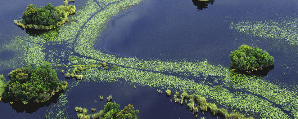 Le Delta de l’Okavango vu du Ciel © OT Botswana