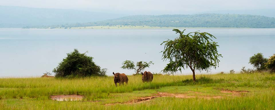 Rwanda - Parc national d’Akagera