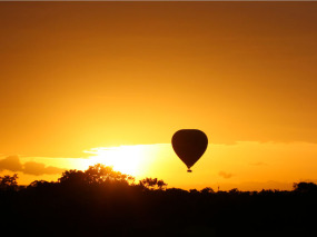 Kenya - Survol en montgolfière au Masai Mara
