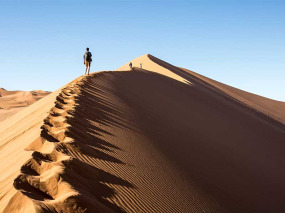 Namibie - Parc national du Namib-Naukluft - Dunes Big Daddy - ©Shutterstock, Anna Morgan