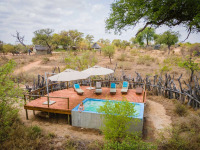 Afrique du Sud - Klaserie Private Nature Reserve - Africa On Foot