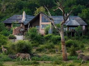 Afrique du Sud - Madikwe Game Reserve - Impodimo Game Lodge