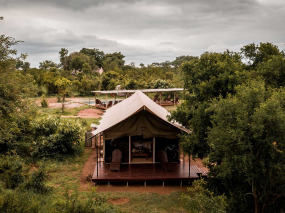 Afrique du Sud - Manyeleti Private Game Reserve - Honeyguide Khoka Moya Camp