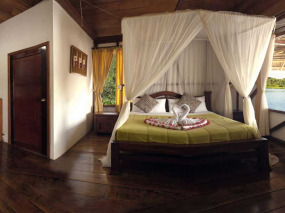 Equateur - Amazonie - Napo Wildlife Lodge