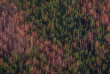 Afrique du Sud - Cape Town - Survol en Hélicoptère ©Cape Town helicopters