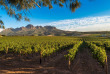 Afrique du Sud - Route des vins  ©Jenman African Safaris