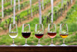 Afrique du Sud - Route des vins  ©Jenman African Safaris