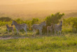 Afrique du Sud - Réserve de Hluhluwe ©Shutterstock, Shdrohnenfly