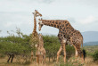 Afrique du Sud - Hluhluwe  ©Rhino Ridge Safari Lodge