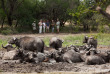 Afrique du Sud - Kapama Private Game Reserve - Kapama Buffalo Camp