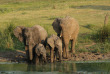 Afrique du Sud - Kapama Private Game Reserve - Kapama Southern Camp
