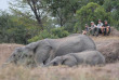 Afrique du Sud - Kruger walking safari