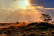 Afrique du Sud - Parc national du Kruger ©Shutterstock, Chantal de Brujine