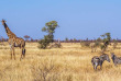 Afrique du Sud - Parc national du Kruger ©Shutterstock, Paco Como