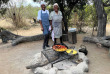 Afrique du Sud - Manyeleti Game Reserve - Pungwe Safari Camp