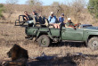 Afrique du Sud - Manyeleti Game Reserve - Pungwe Safari Camp