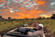 Afrique du Sud - Manyeleti Game Reserve - Pungwe Safari Camp