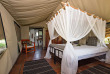 Afrique du Sud - Manyeleti Game Reserve - Pungwe Safari Camp