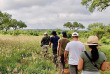 Afrique du Sud - Manyeleti Game Reserve - Pungwe Safari Camp