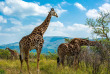 Afrique du Sud - Parc national Hluhluwe Imfolozi- ©Shutterstock, Lukasz Nycz