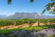 Afrique du Sud - Route des vins ©Shutterstock, Quality Master