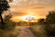 Afrique du Sud - Sabi Sands Game Reserve - Singita Boulders Lodge - ©Ross Couper
