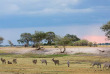 Botswana - Safari guidé en bivouac - Bush Ways Safaris