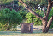 Botswana - Safari guidé en bivouac  - Bush Ways Safaris