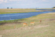 Botswana - Safari guidé en bivouac - Bush Ways Safaris