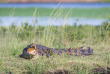 Botswana - safari guidé en bivouac - Bush Ways Safaris