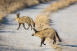 Botswana - Safari guidé en bivouac  - Bush Ways Safaris