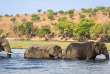 Botswana - Safari guidé en hôtel